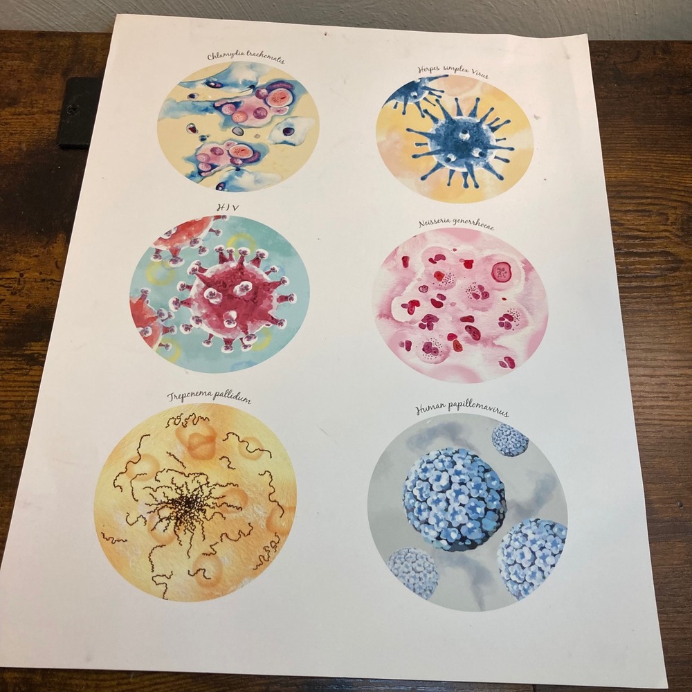 Medical Microbiology Watercolor Art Print Pathogens HIV Herpes HPV Science Decor